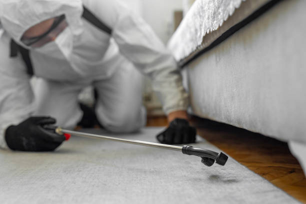 Professional Ant Control technician working in Canon, GA