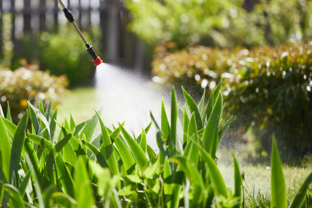 24/7 Emergency Ant Control experts in Canon, GA