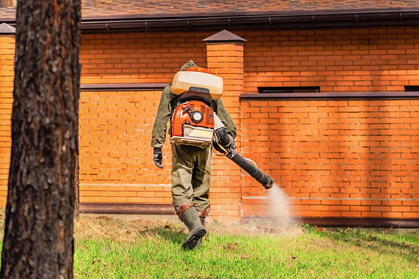 Trusted Cockroach Control service in Canon, GA - Nex Pest Control